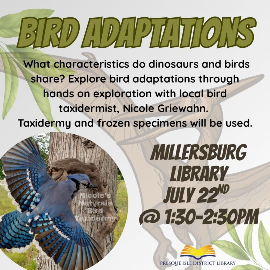 bird adaptations at millersburg library on july 22