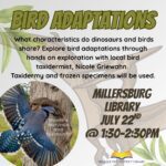 bird adaptations at millersburg library on july 22